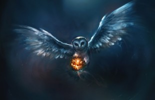 THE MOST BEAUTIFUL AND LAPTOP COMPUTER 2015 HALLOWEEN